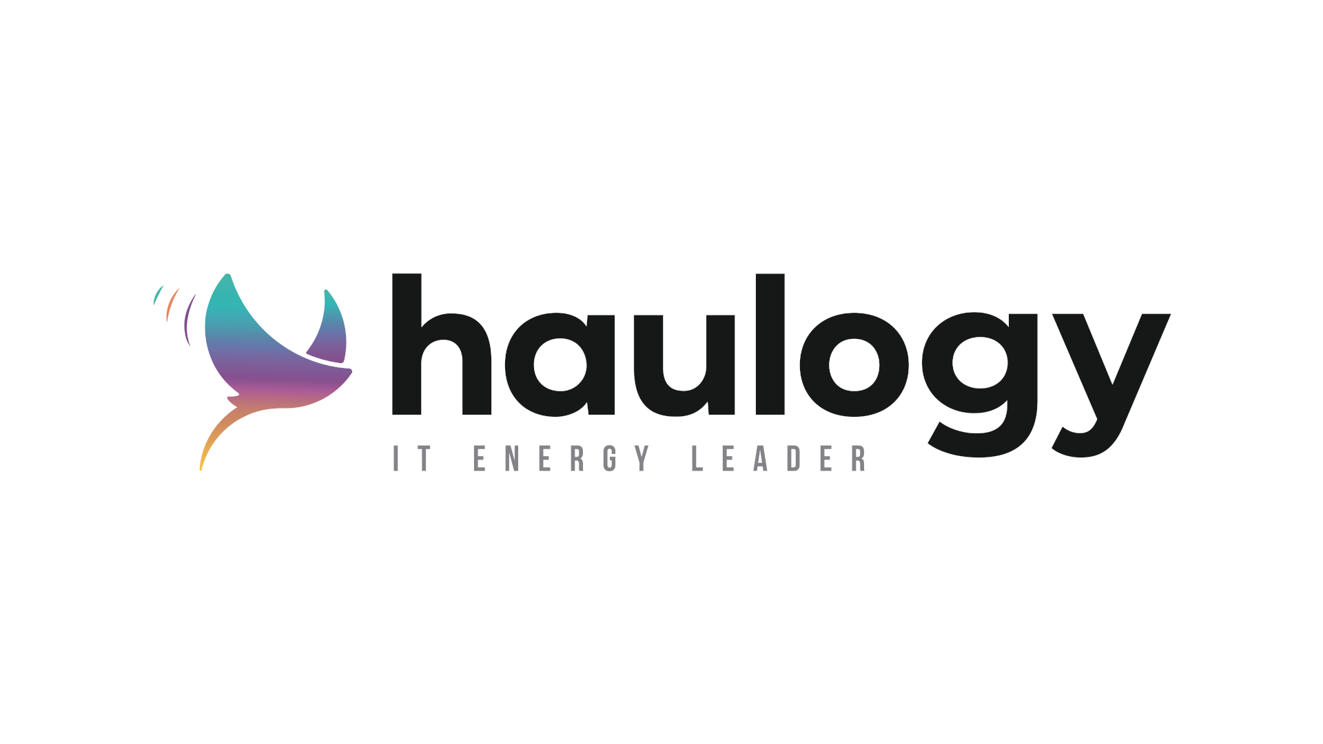 Haulogy