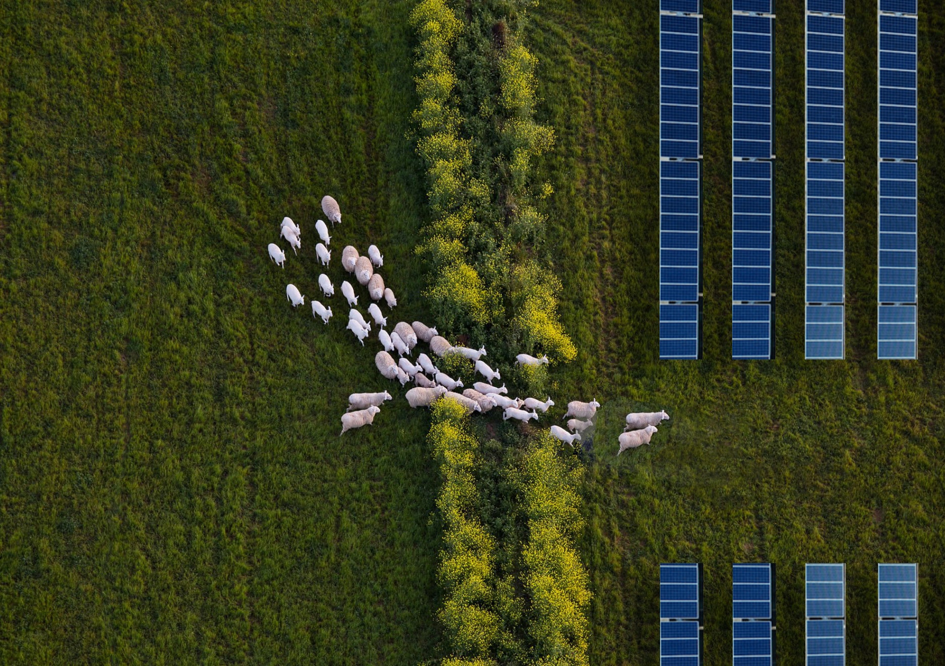 Sustainability