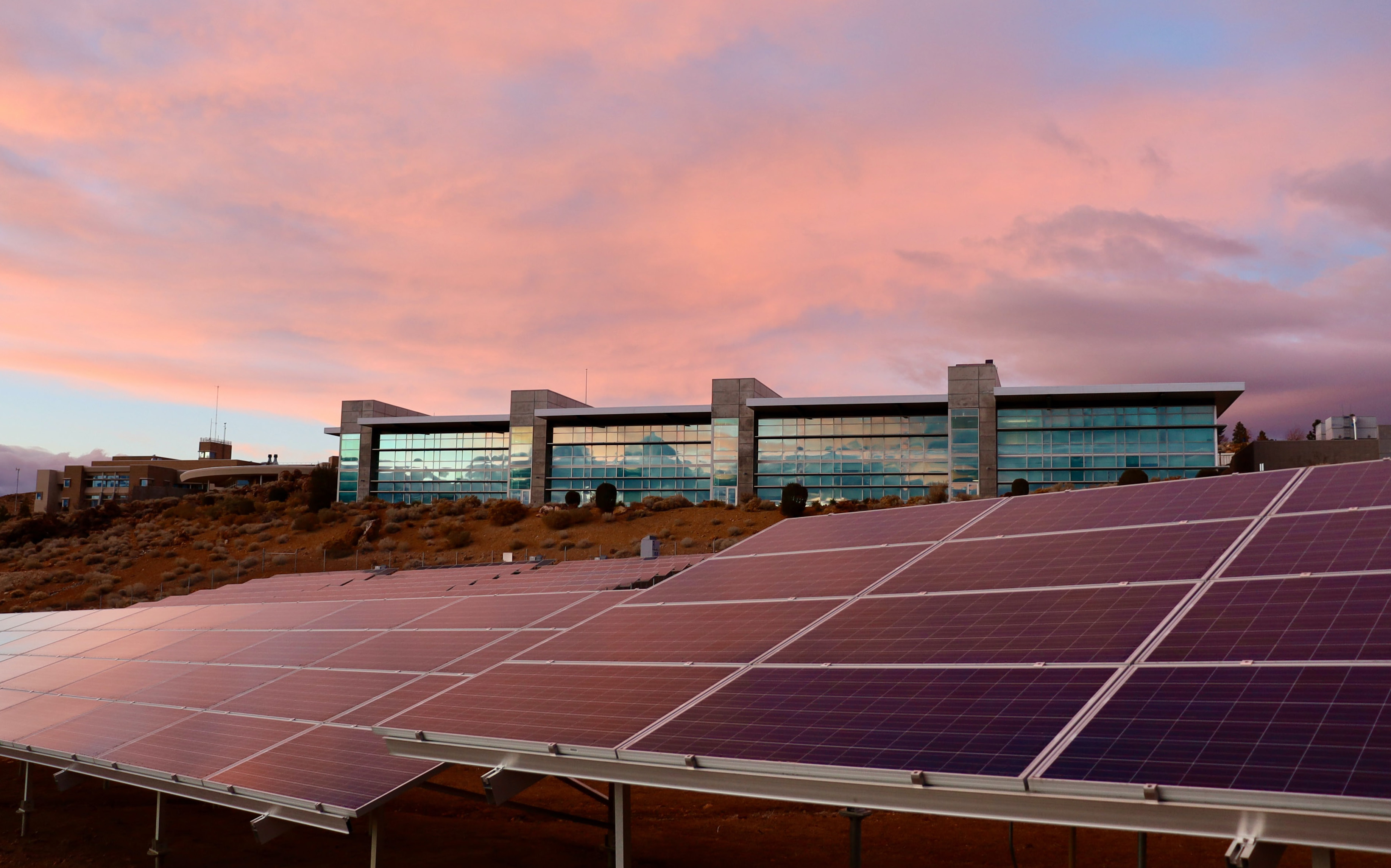 Whitepaper 'IT and Sustainability' | 2022