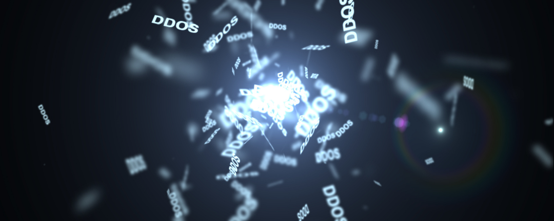 LCL increases DDoS defence with NaWas in data centers