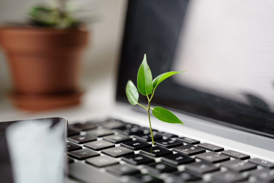 Whitepaper 'IT and Sustainability' | 2023